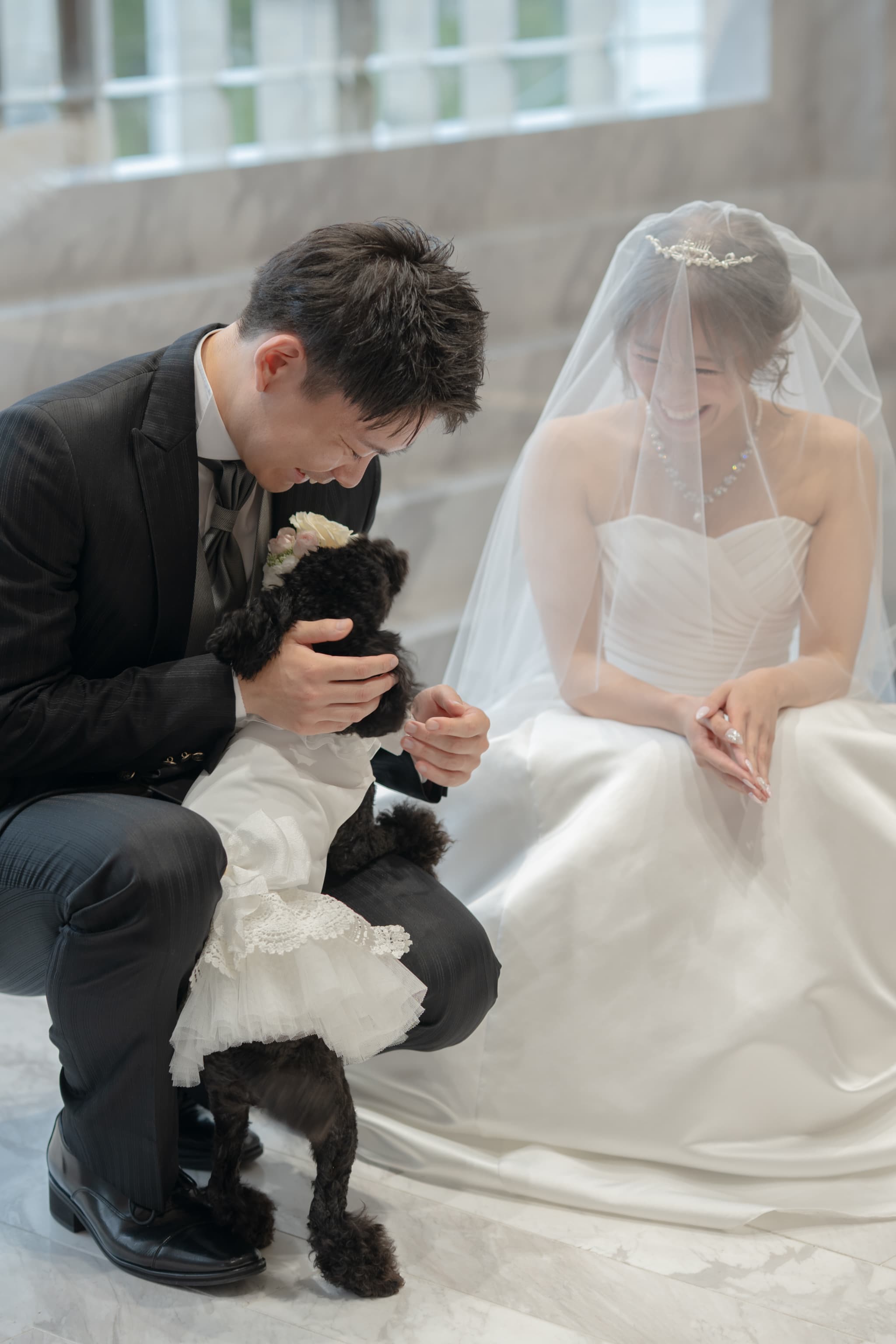 【小さな結婚式お台場店】大切な家族のわんちゃんと一緒の結婚式♡